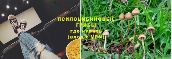 спиды Армянск