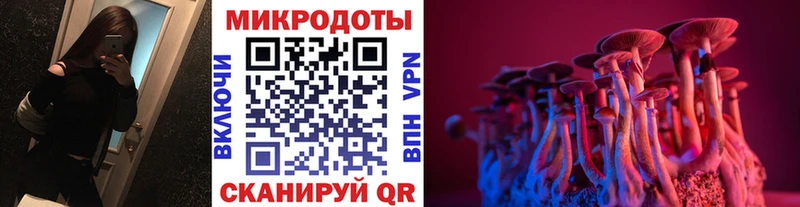 Галлюциногенные грибы мицелий  закладки  Михайловка 